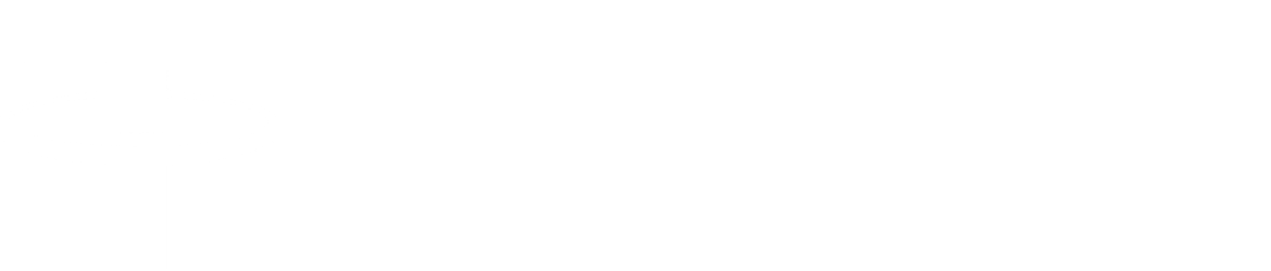 Mr USDT Logo